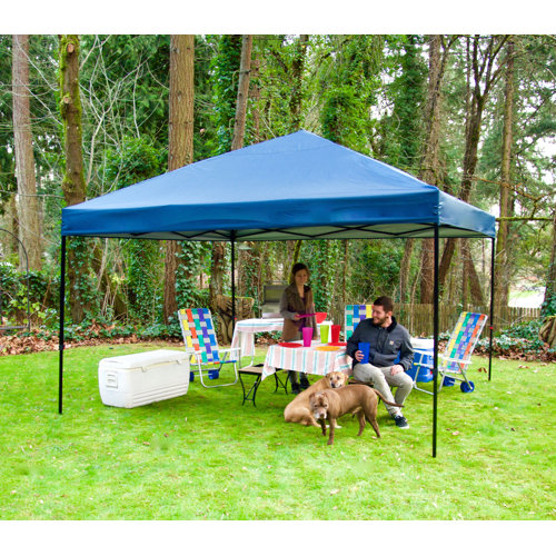 NorWestOutdoor 12 Ft. W x 12 Ft. D Steel Pop Up Gazebo & Reviews Wayfair
